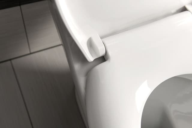 SOFIA deska WC Soft Close z polypropylenu, biała