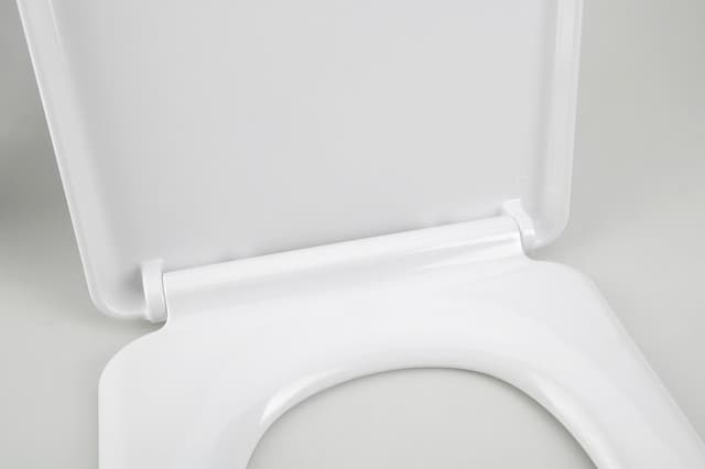 LENA deska WC Soft Close, antybakteryjna duroplastowa