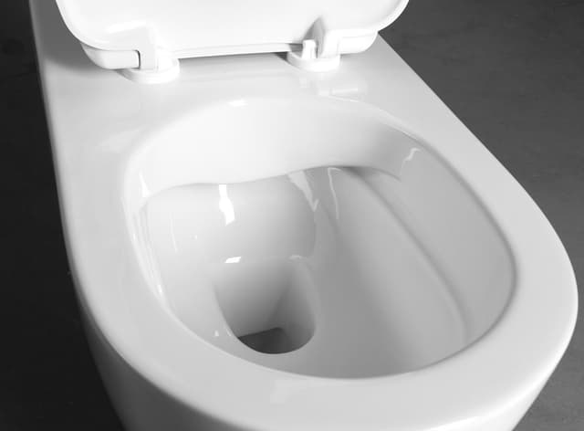 HANDICAP misa WC bezrantowa dla niepełnosprawnych 37x70 cm