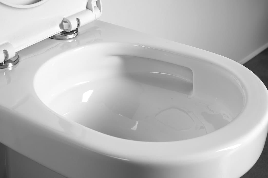 DENICA WC misa wisząca, Vortex Rimless, 36x52cm, biały